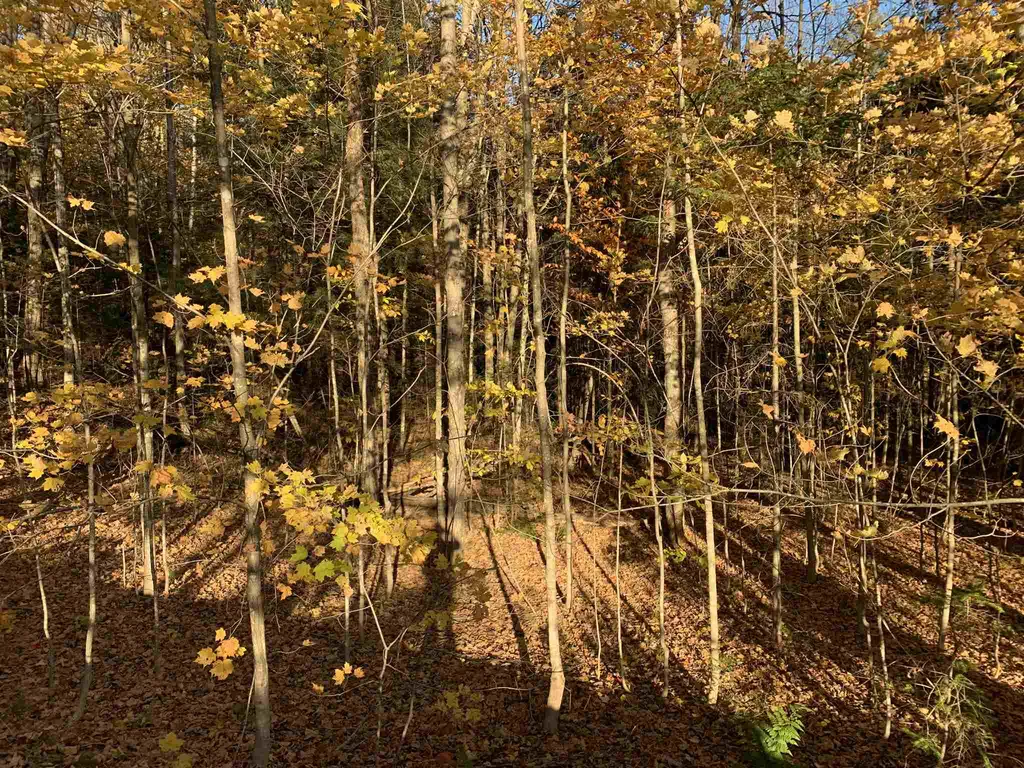 Tbd Sand Hill Road Wolcott VT 05680