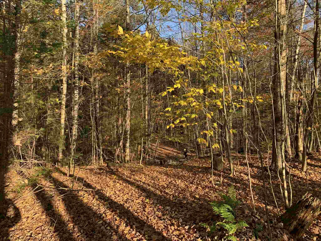 Tbd Sand Hill Road Wolcott VT 05680