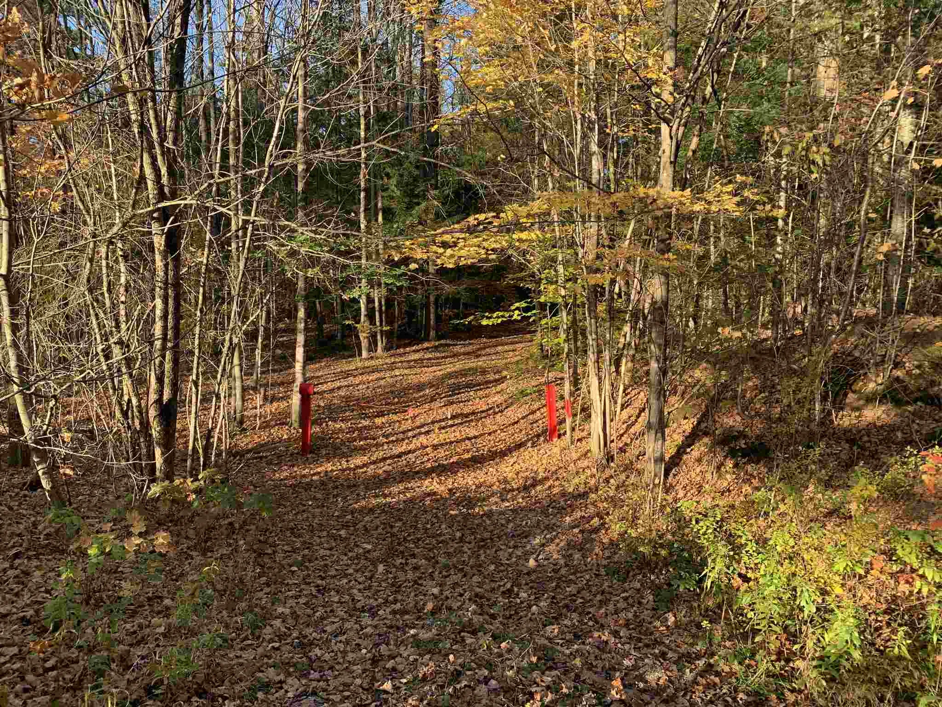 Tbd Sand Hill Road Wolcott VT 05680