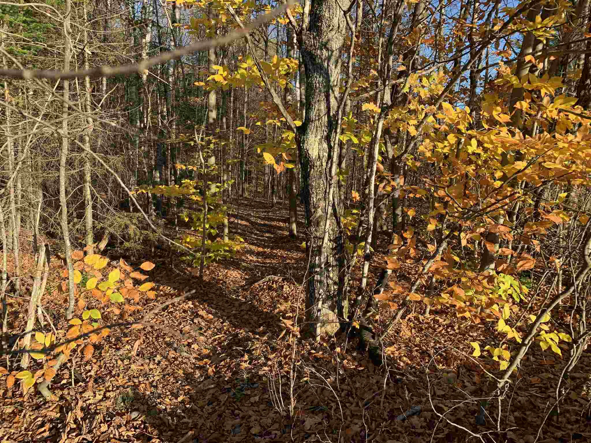 Tbd Sand Hill Road Wolcott VT 05680