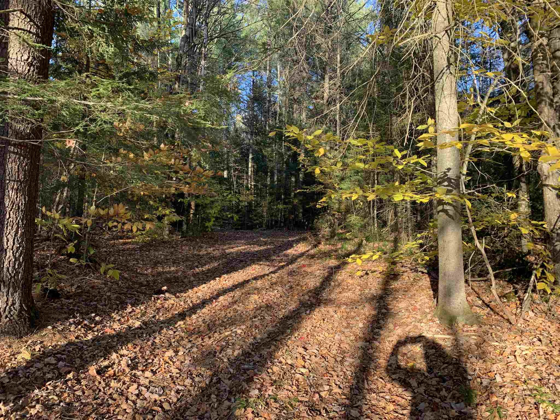Tbd Sand Hill Road Wolcott VT 05680