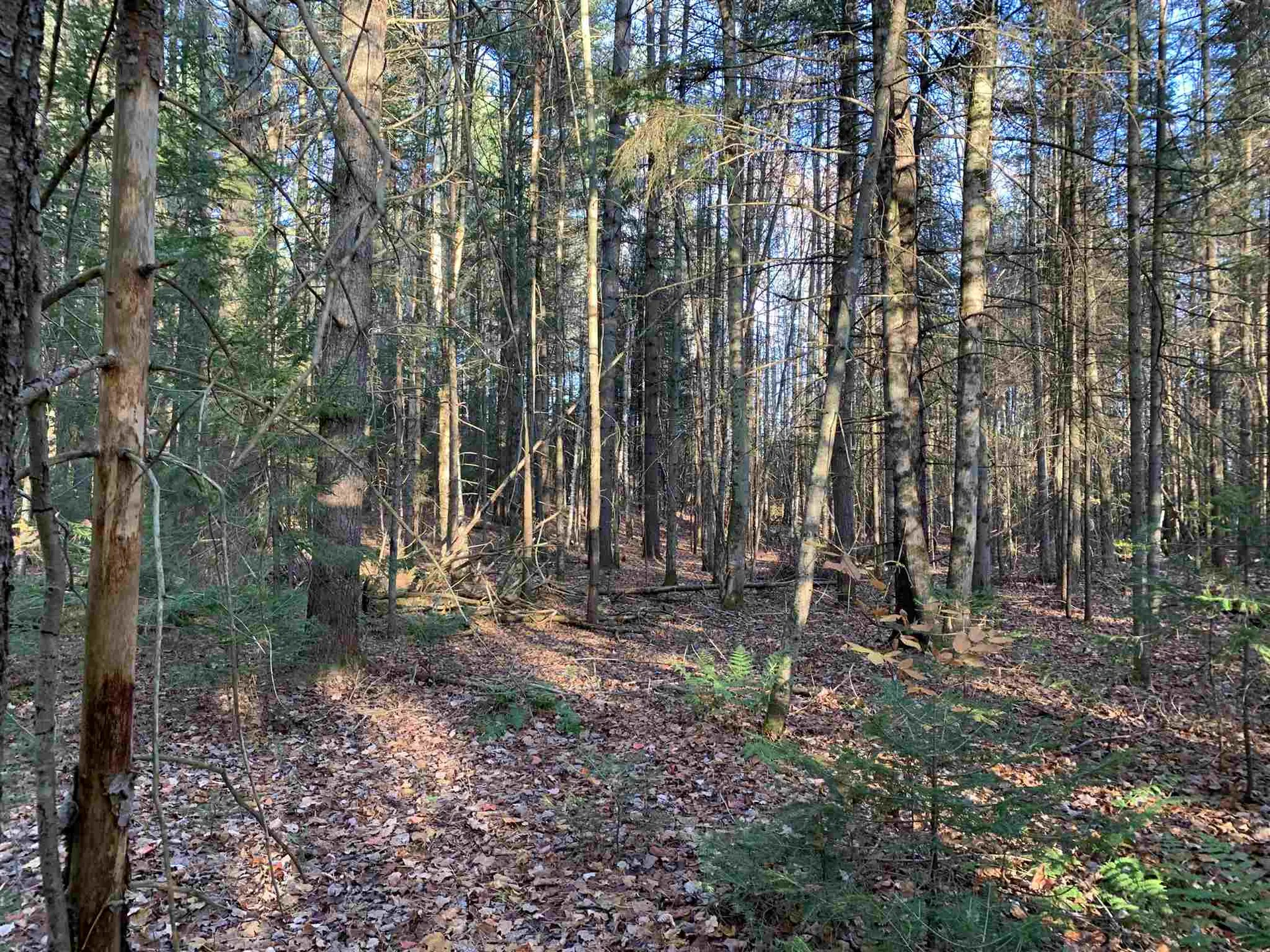 Tbd Sand Hill Road Wolcott VT 05680