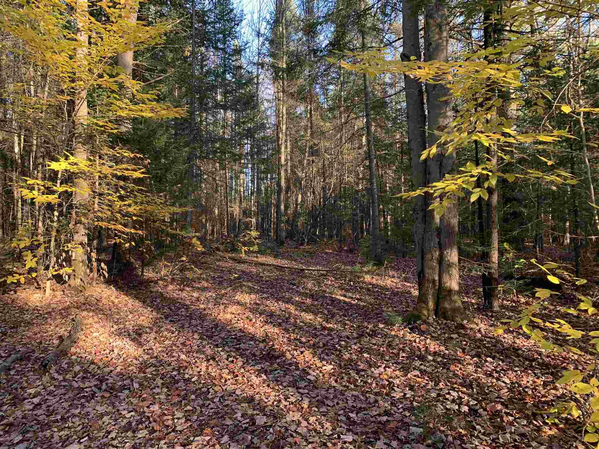 Tbd Sand Hill Road Wolcott VT 05680