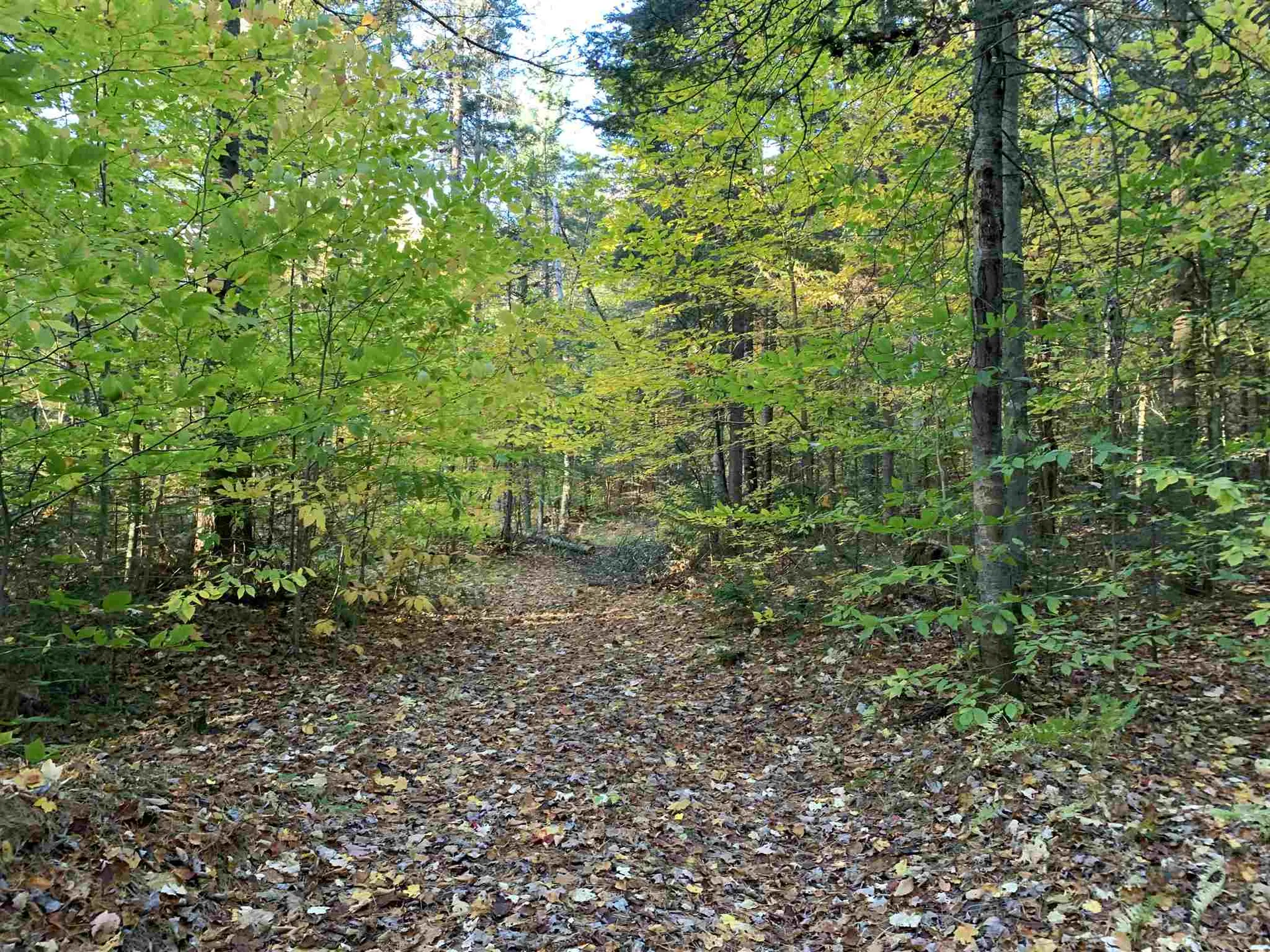 Tbd Sand Hill Road Wolcott VT 05680