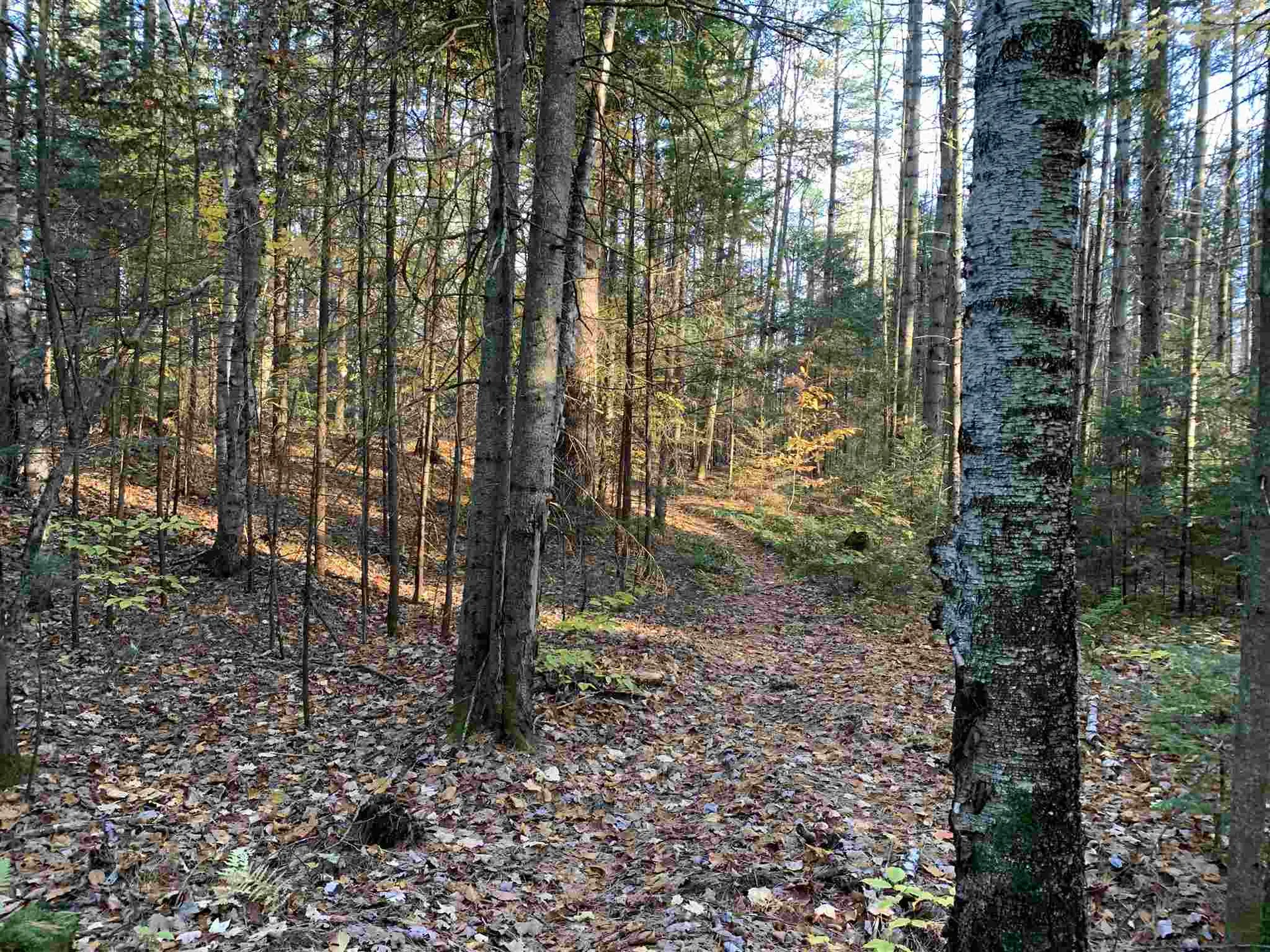 Tbd Sand Hill Road Wolcott VT 05680