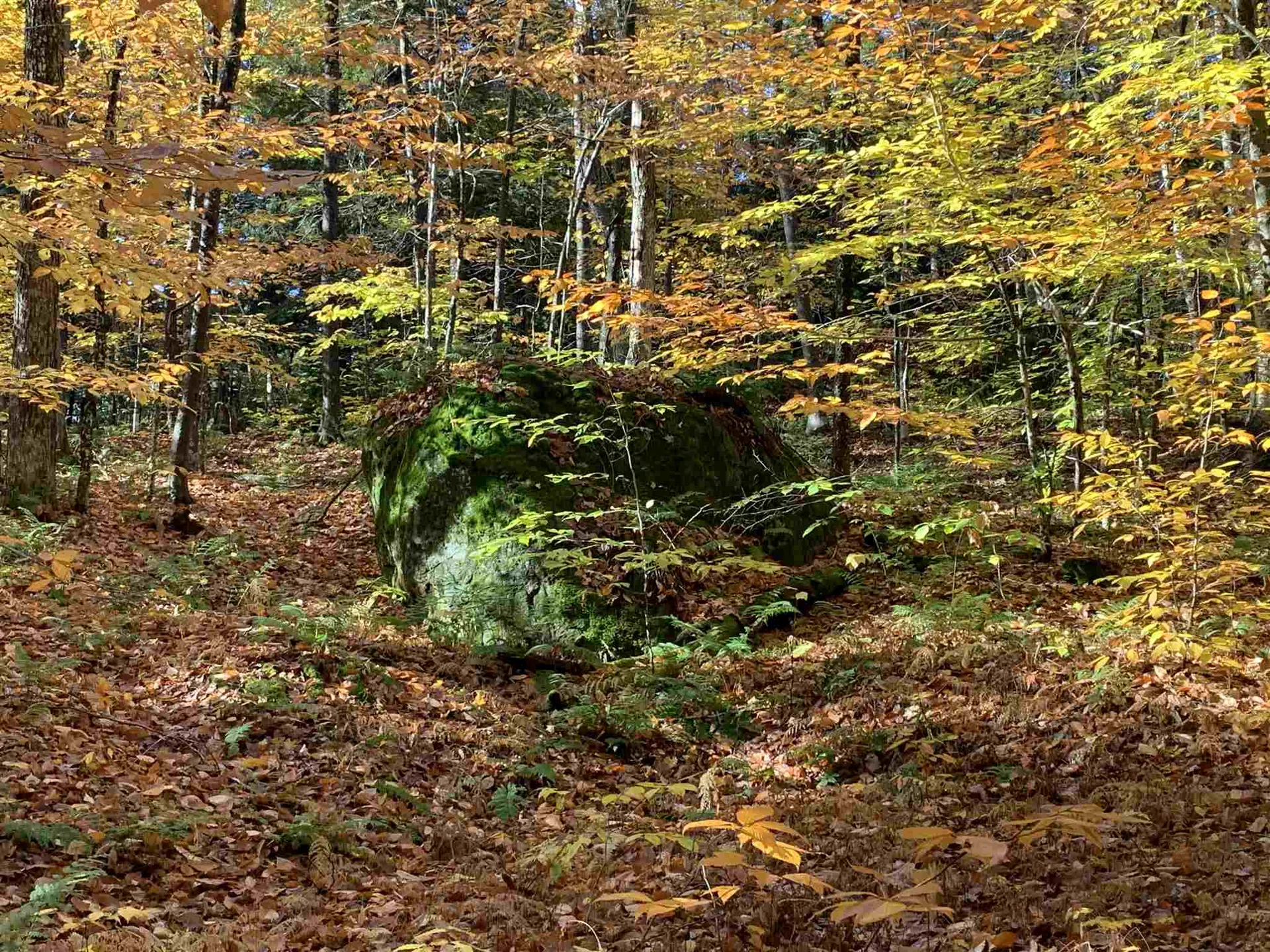 Tbd Sand Hill Road Wolcott VT 05680
