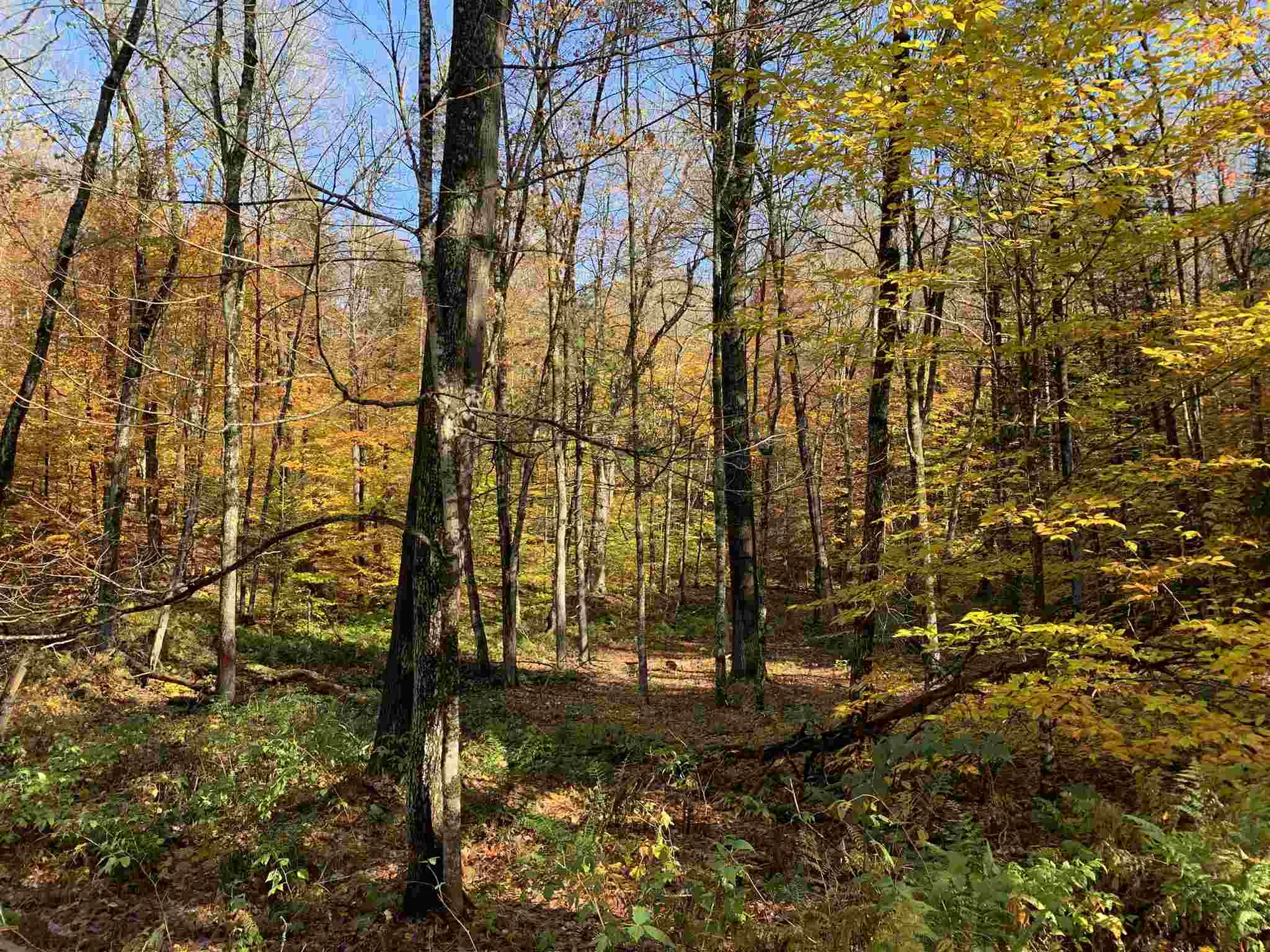 Tbd Sand Hill Road Wolcott VT 05680