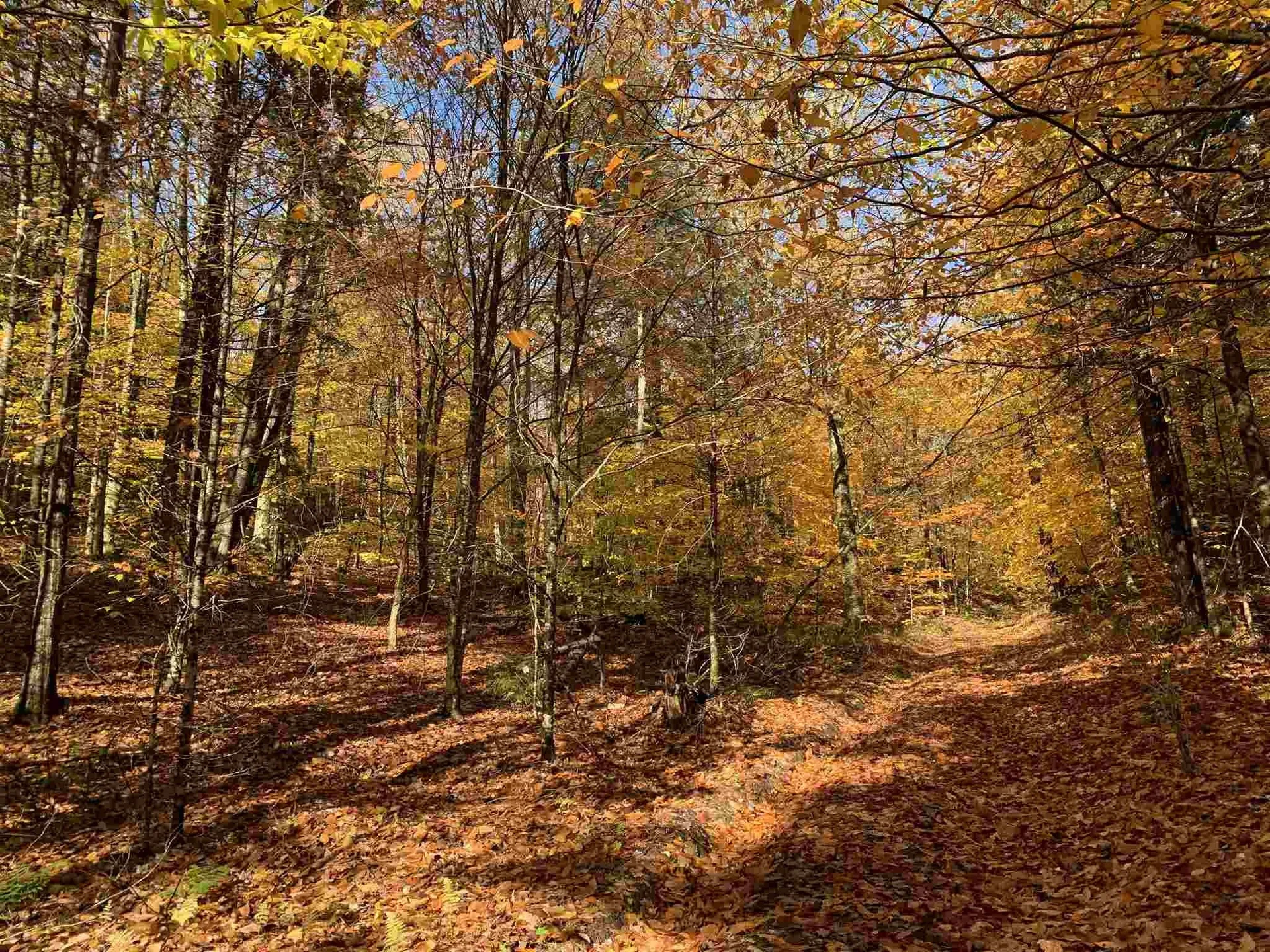 Tbd Sand Hill Road Wolcott VT 05680