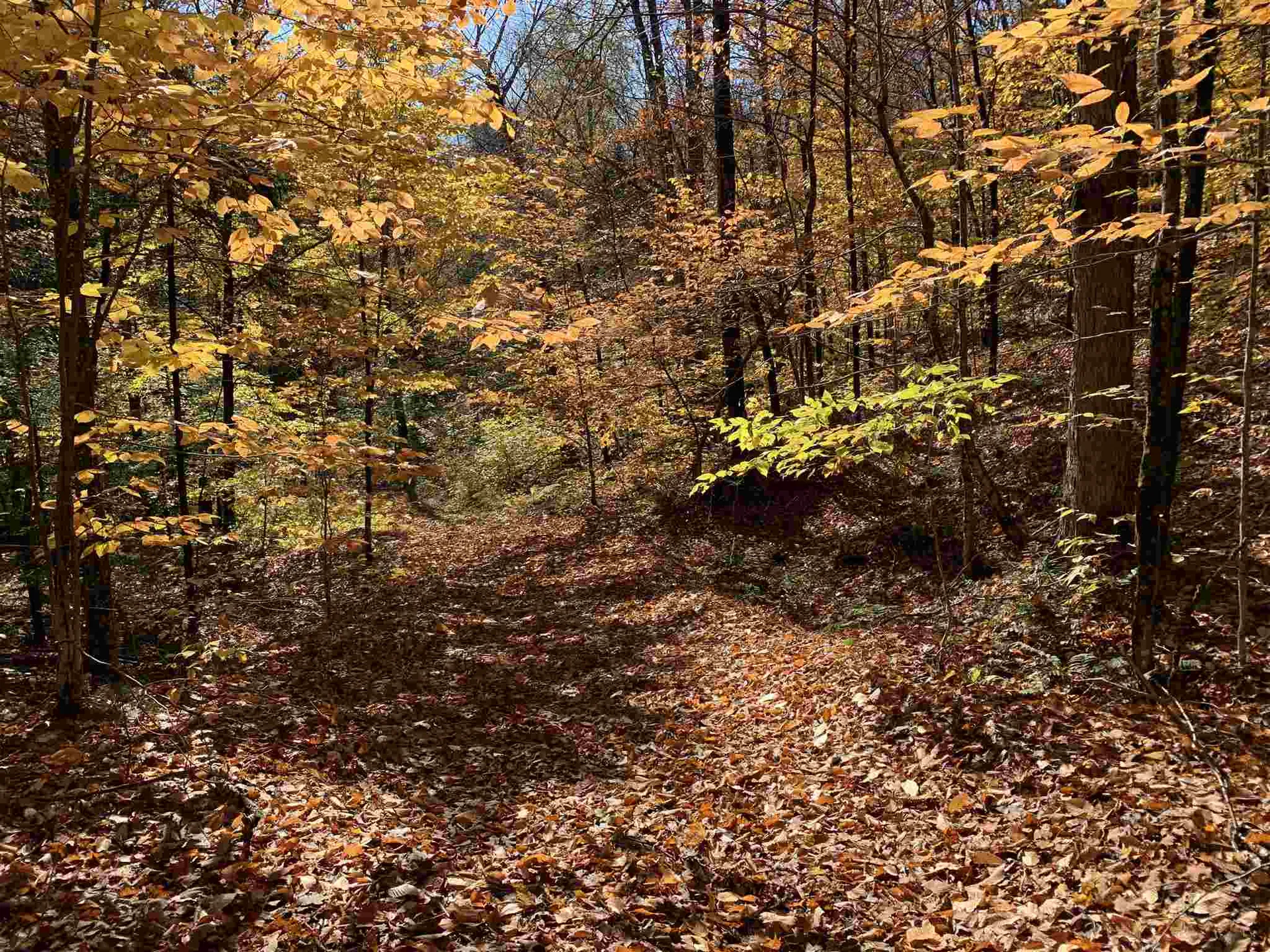 Tbd Sand Hill Road Wolcott VT 05680