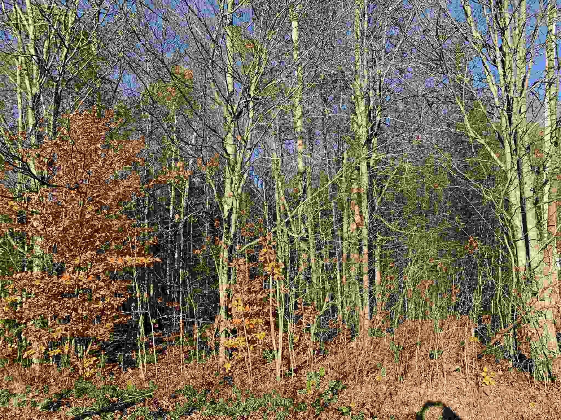 Tbd Sand Hill Road Wolcott VT 05680