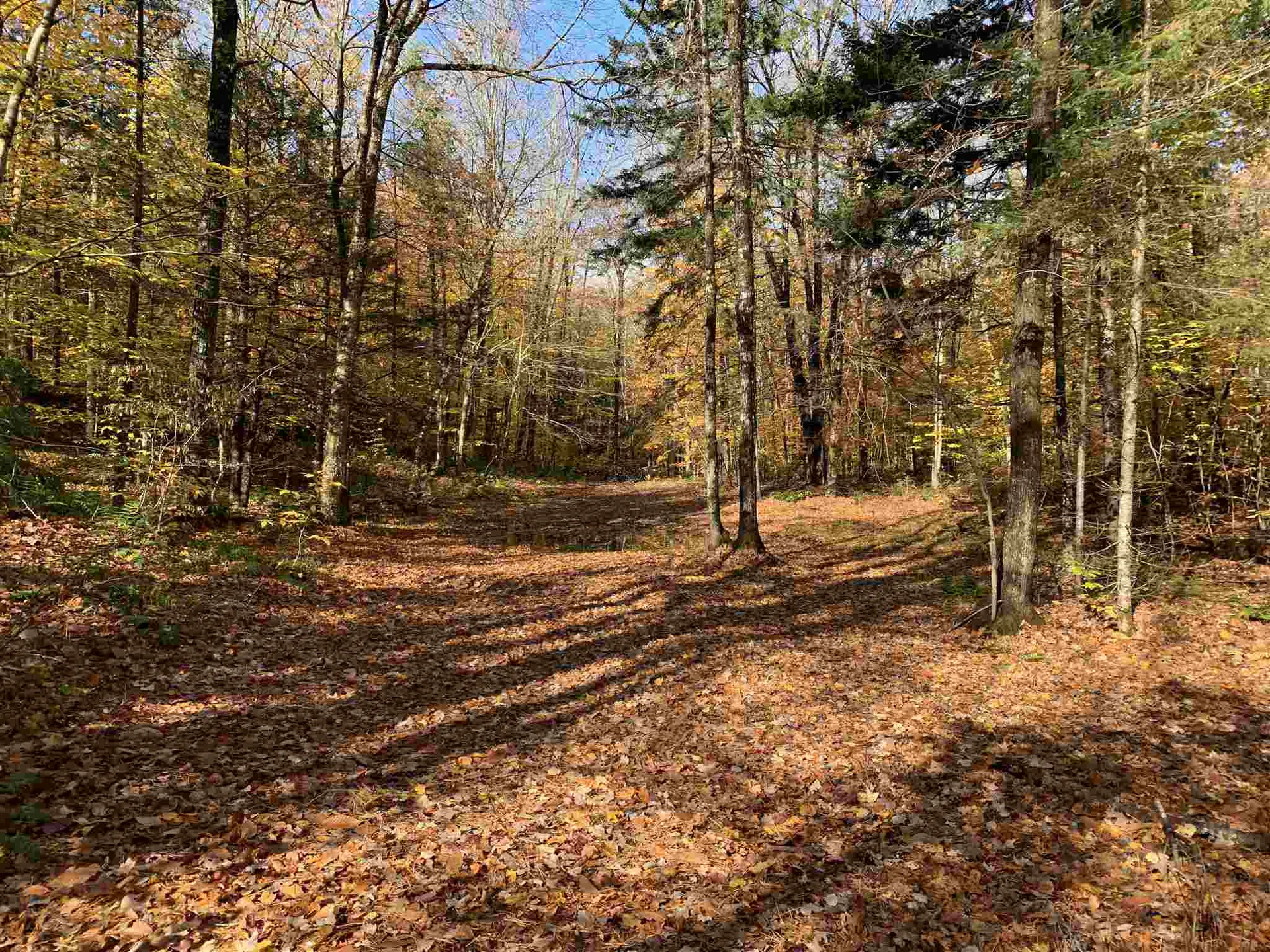 Tbd Sand Hill Road Wolcott VT 05680