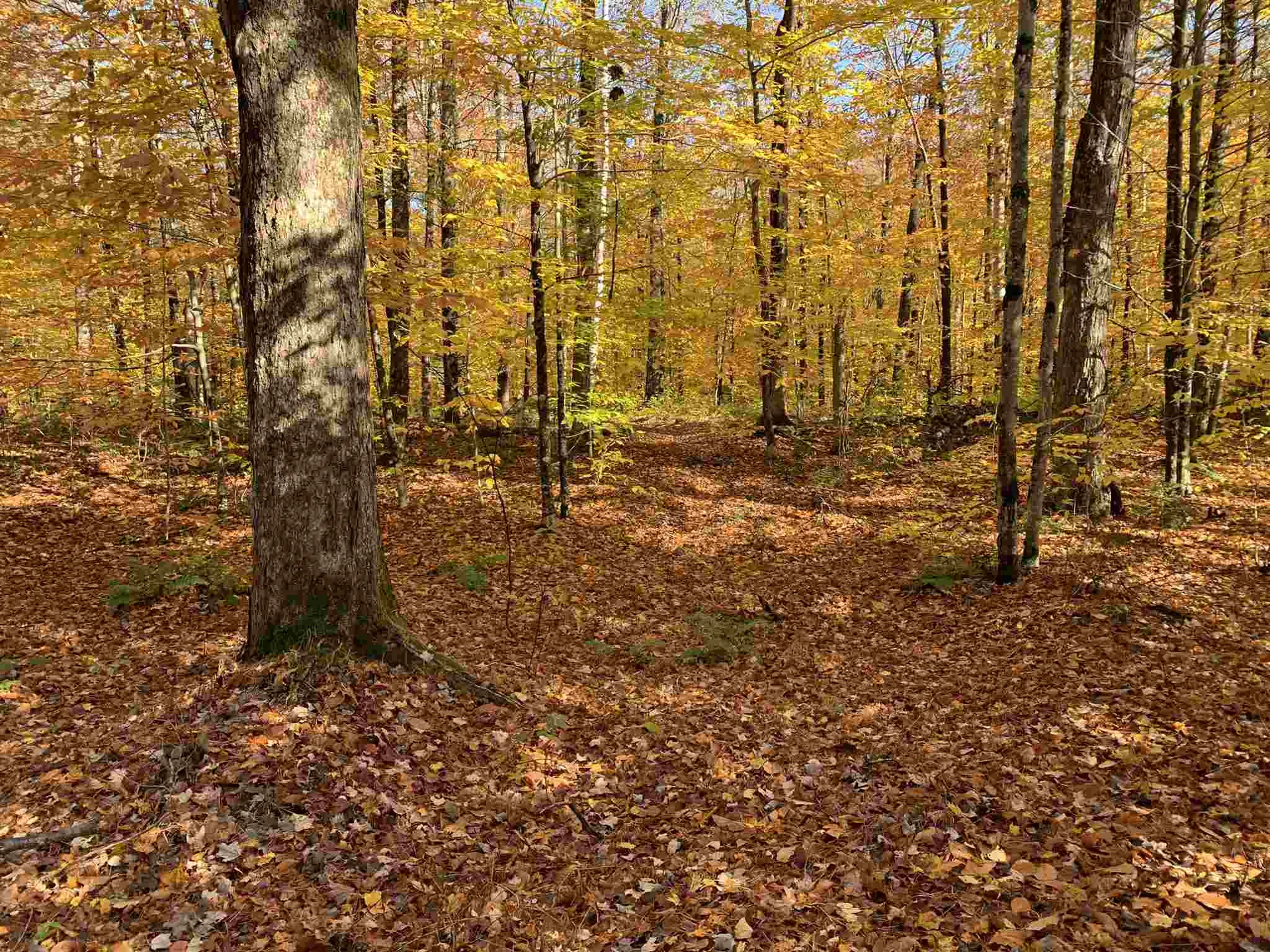 Tbd Sand Hill Road Wolcott VT 05680