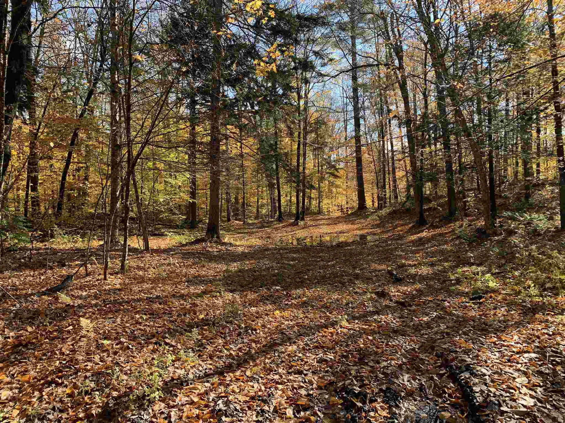 Tbd Sand Hill Road Wolcott VT 05680