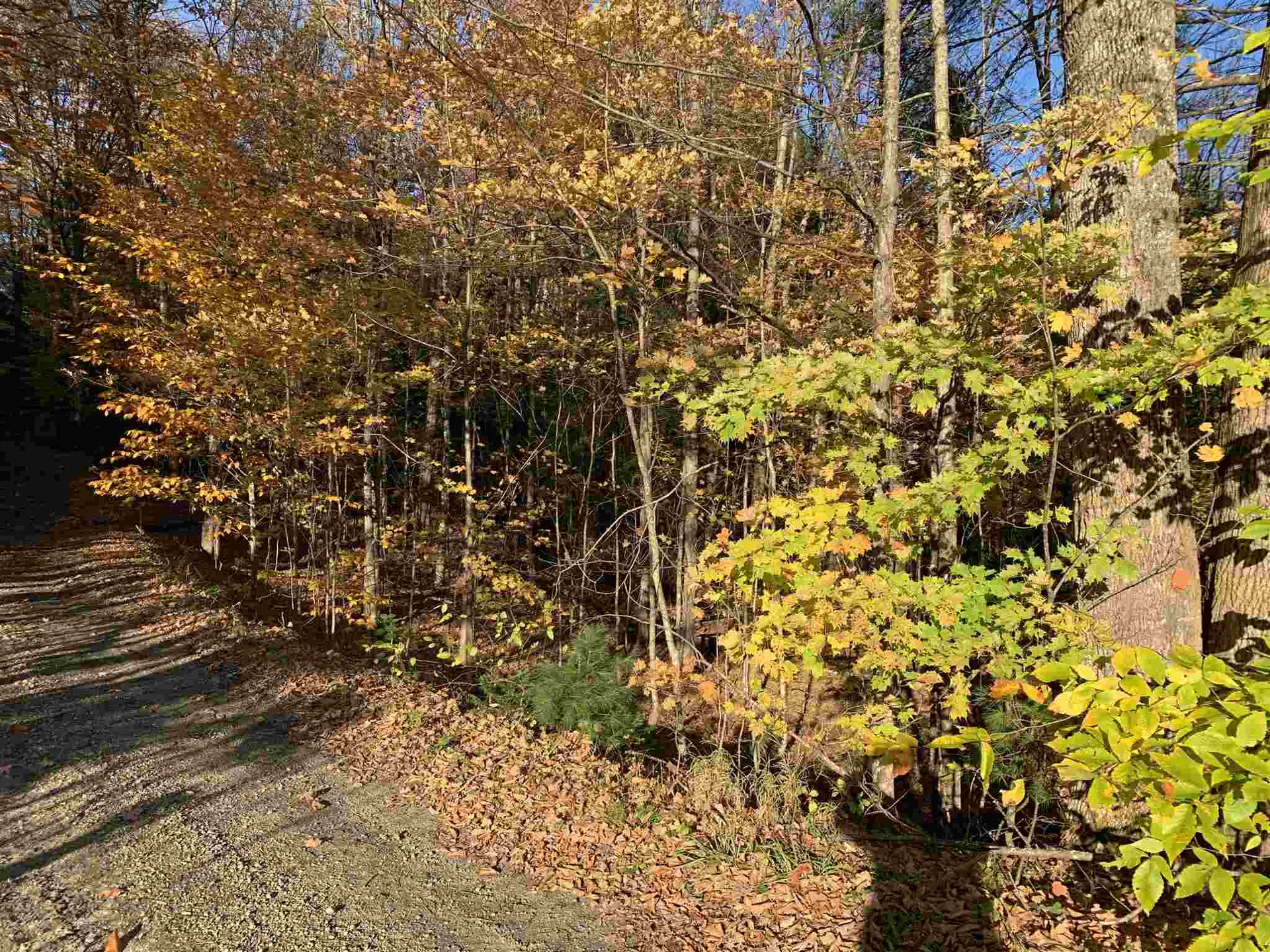 Tbd Sand Hill Road Wolcott VT 05680