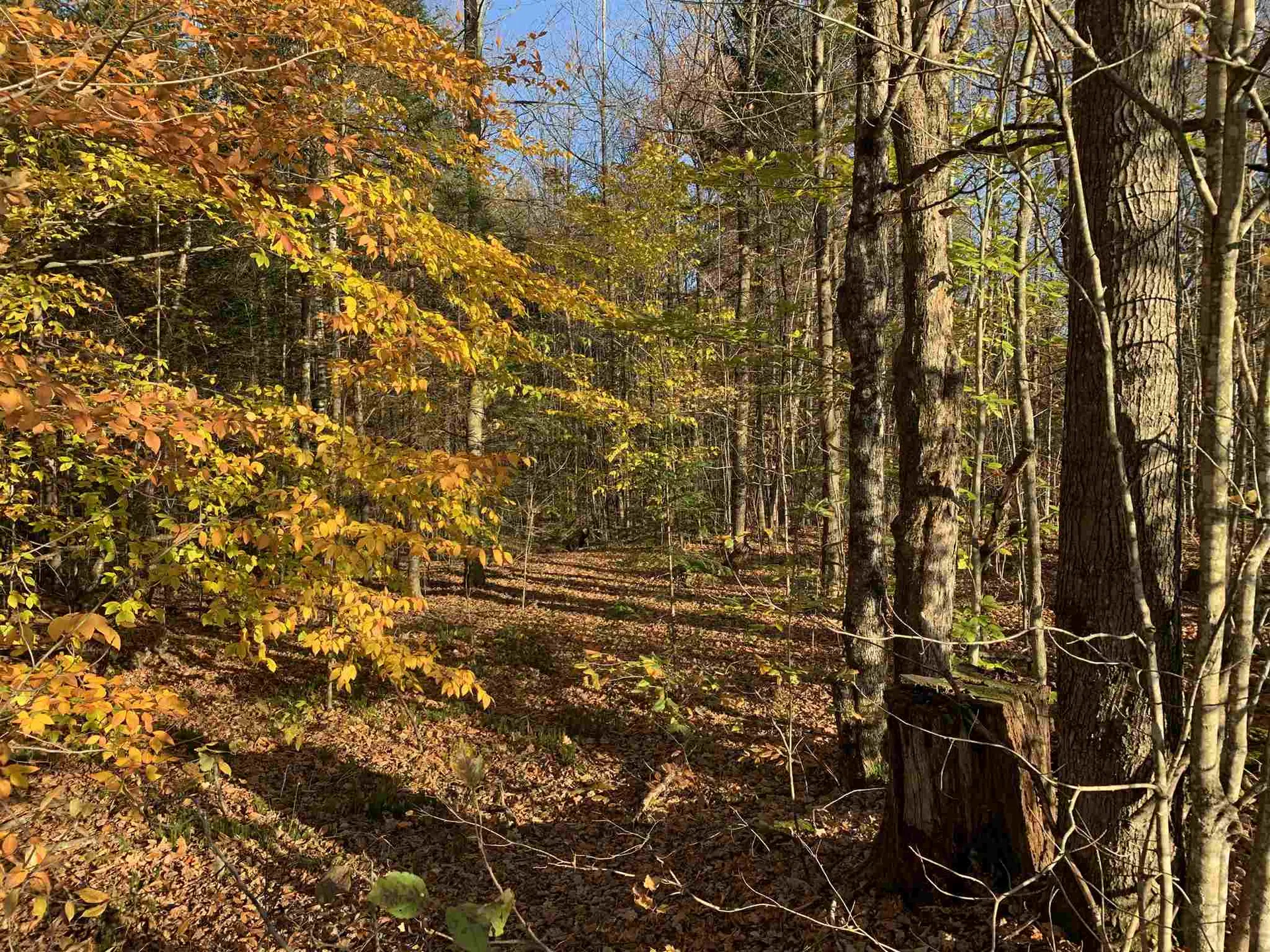 Tbd Sand Hill Road Wolcott VT 05680