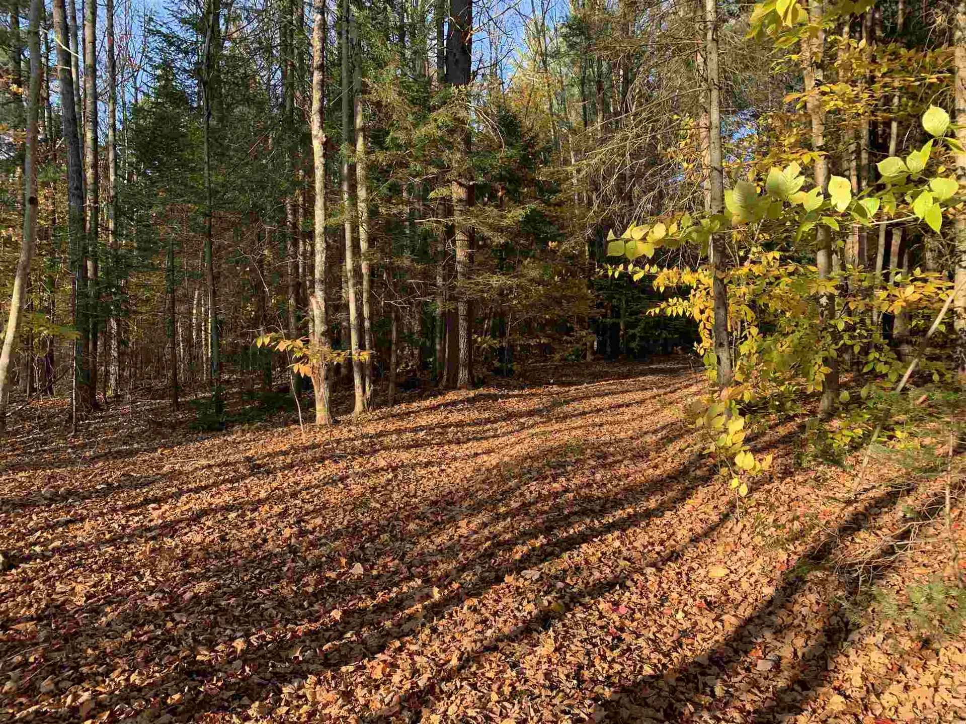 Tbd Sand Hill Road Wolcott VT 05680