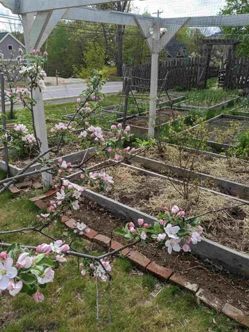 53 Prospect Street Henniker NH 03242