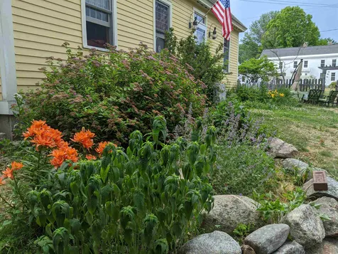 53 Prospect Street Henniker NH 03242