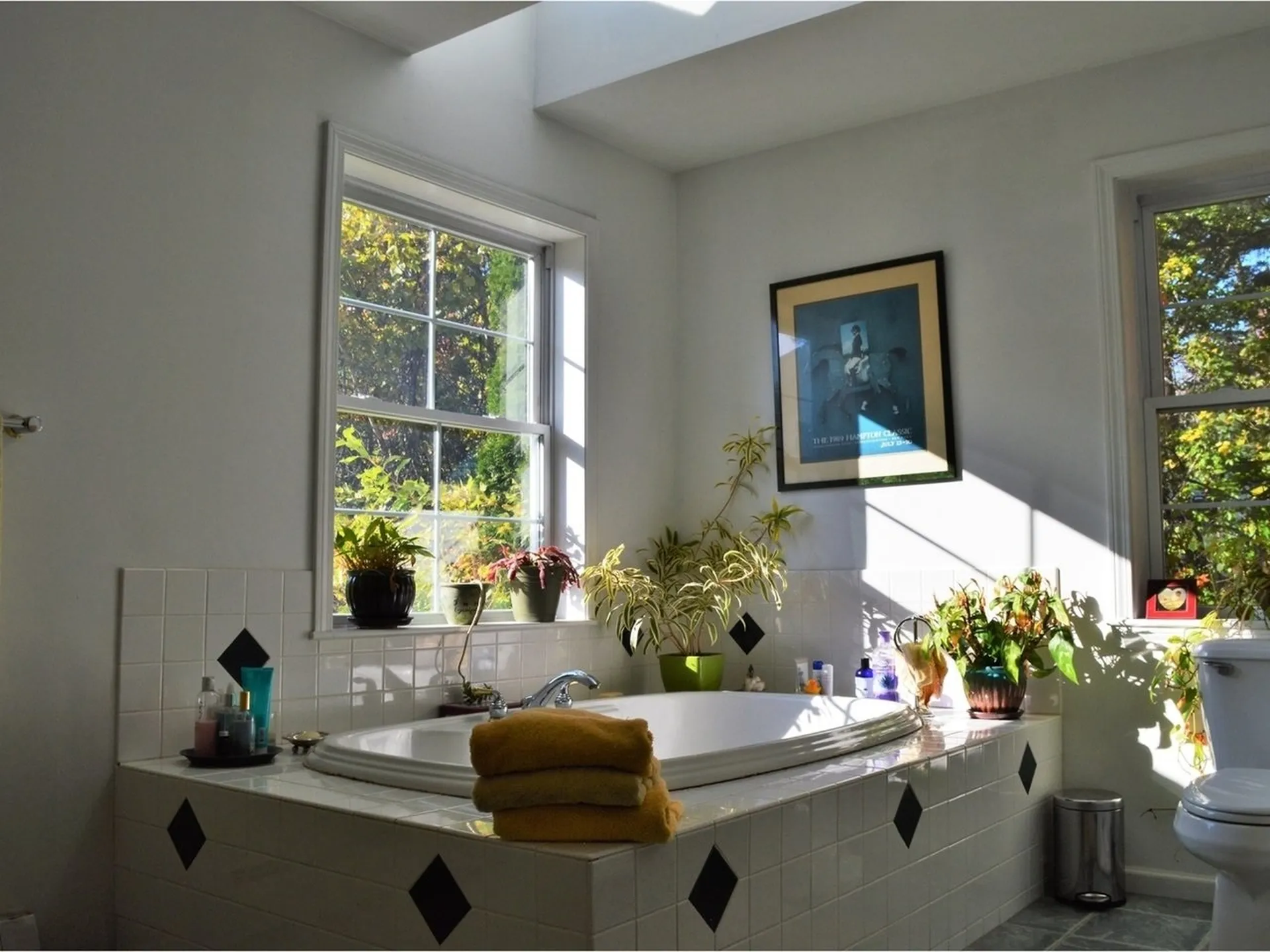 20 Stonegate Lane Shelburne VT 05482