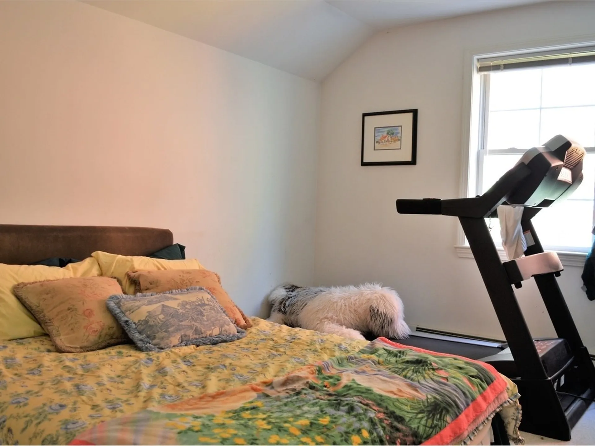 20 Stonegate Lane Shelburne VT 05482
