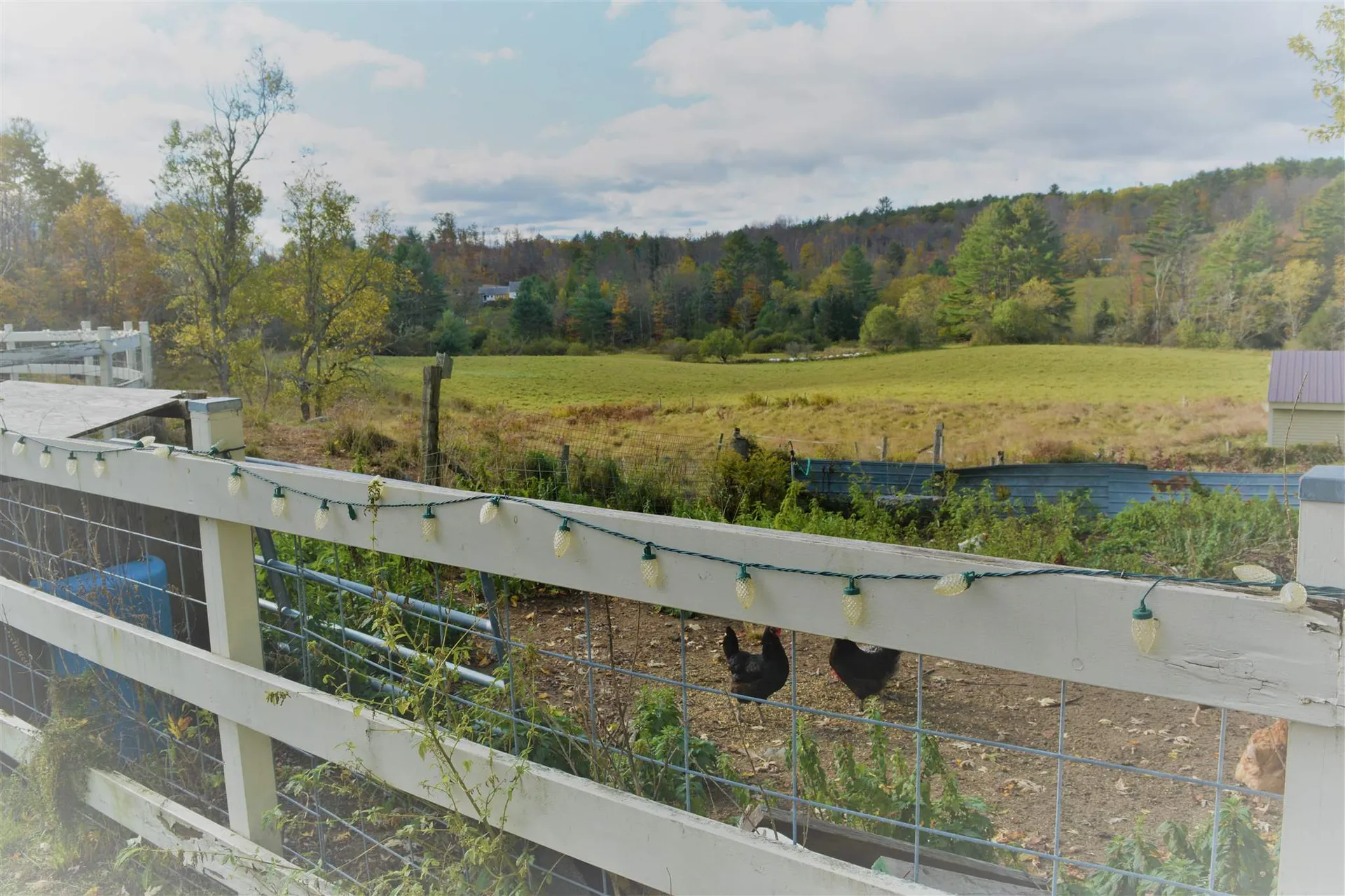2653 Scotch Hollow Road Newbury VT 05051