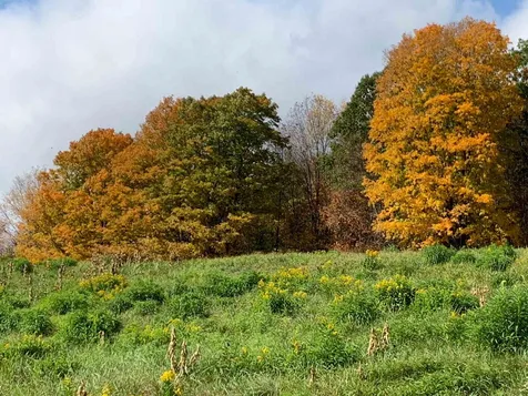 475 Flamstead Road Chester VT 05143