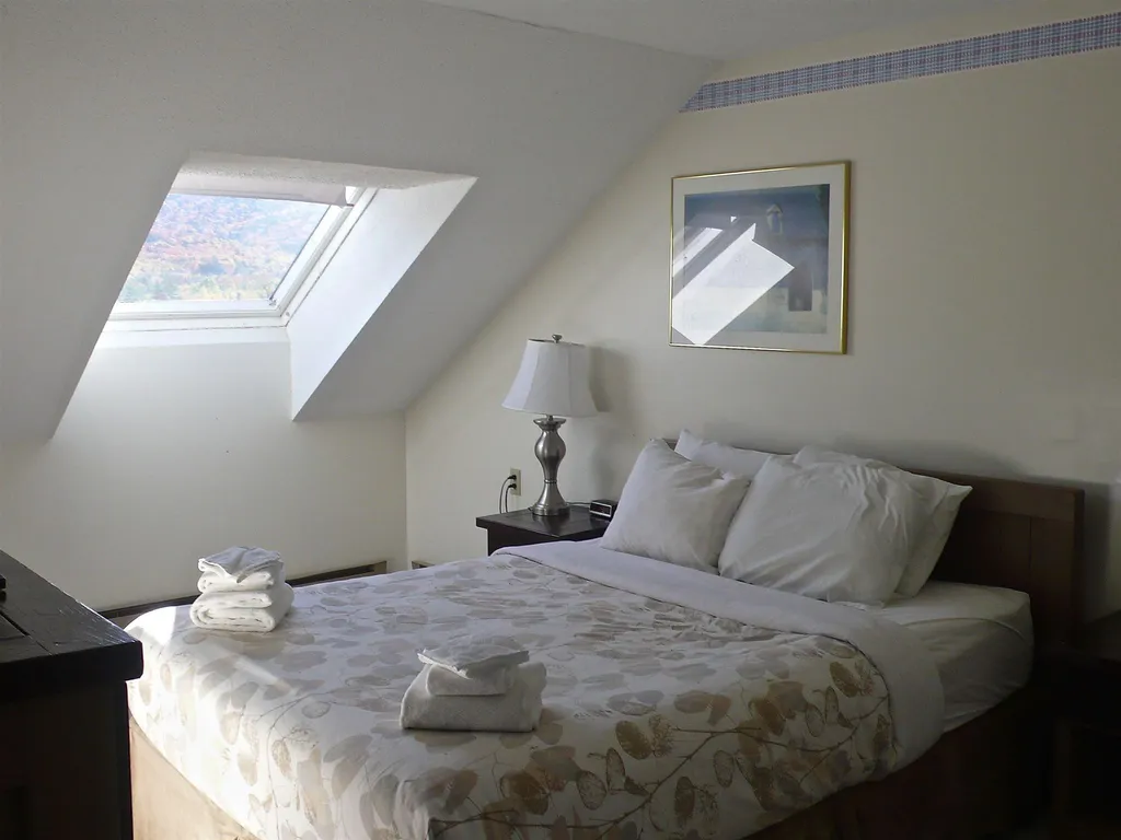 23 Black Bear Road Waterville Valley NH 03215