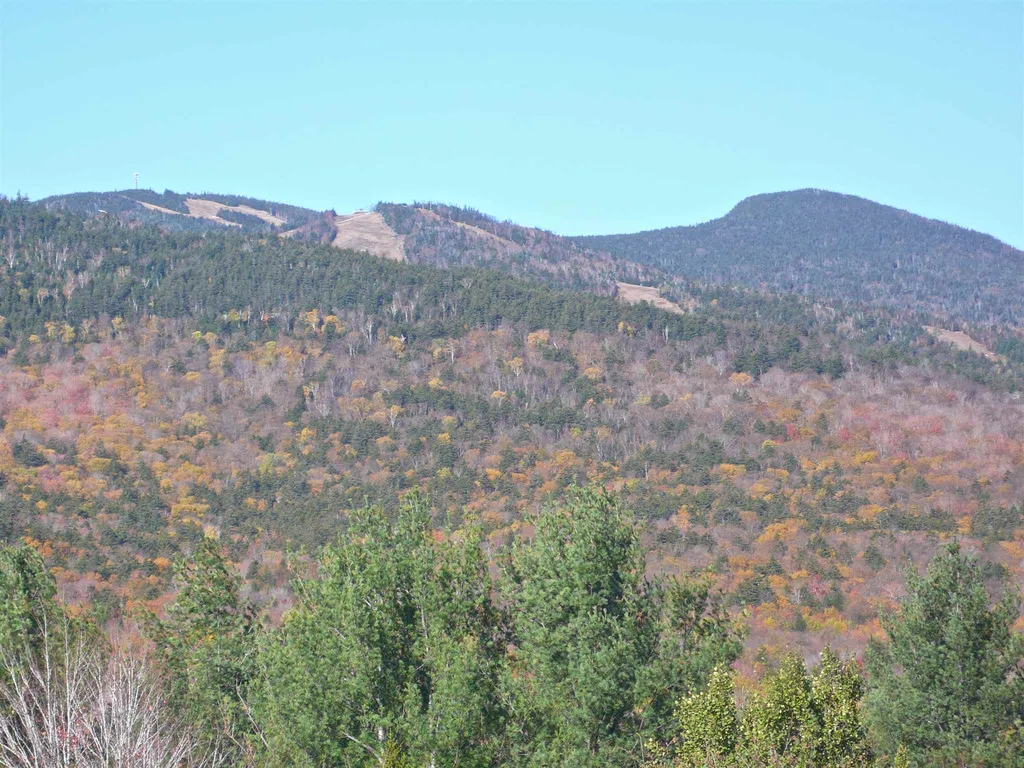 23 Black Bear Road Waterville Valley NH 03215