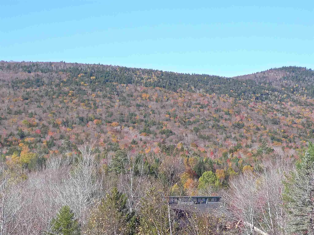23 Black Bear Road Waterville Valley NH 03215