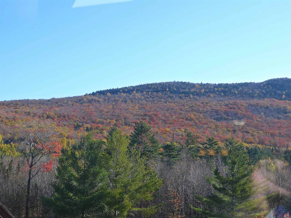 23 Black Bear Road Waterville Valley NH 03215