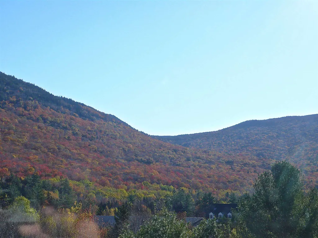 23 Black Bear Road Waterville Valley NH 03215
