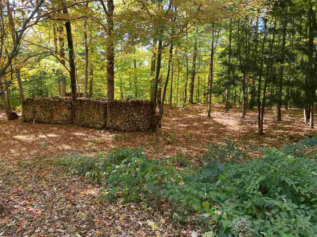 119 Bradley Lane Williston VT 05495