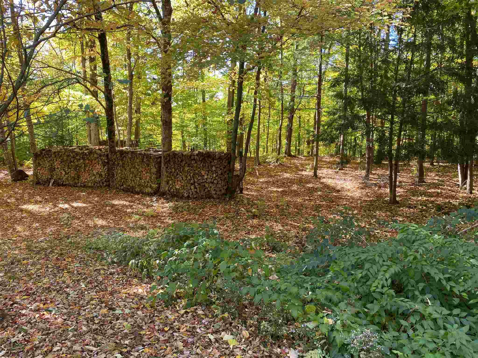 119 Bradley Lane Williston VT 05495