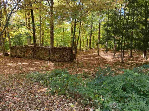 119 Bradley Lane Williston VT 05495