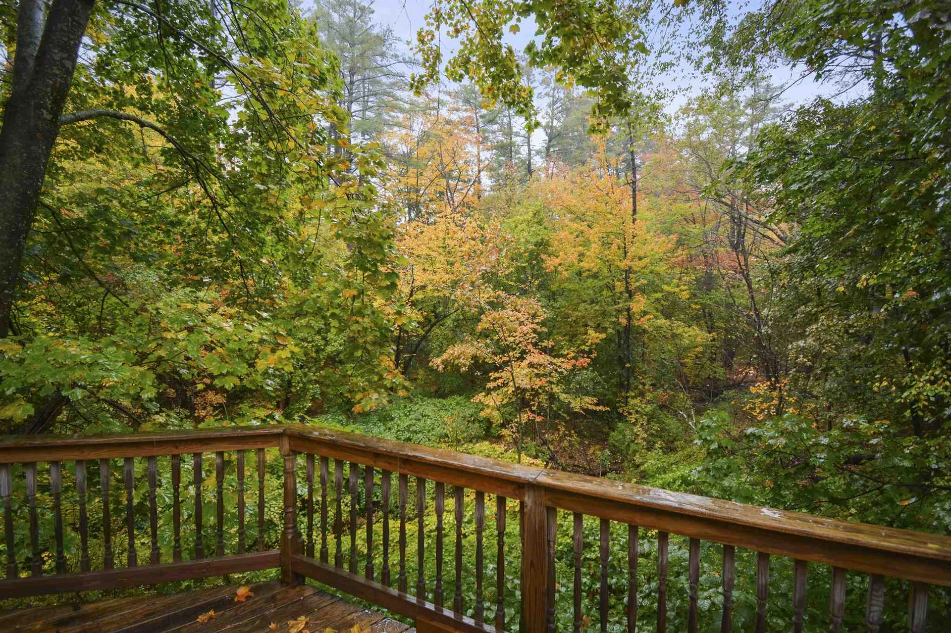 54 Bow Street Concord NH 03301