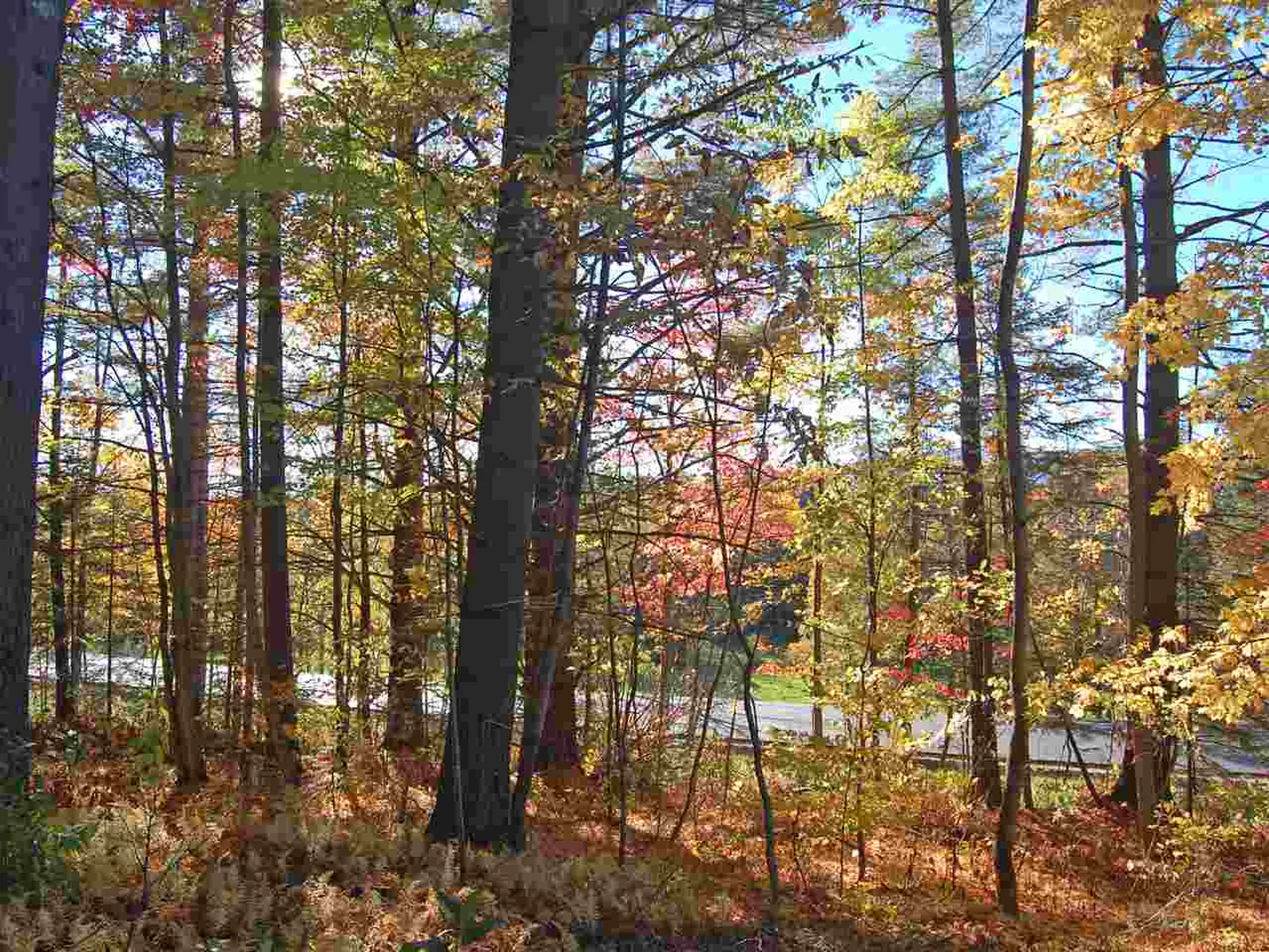 000 East Warren Road Warren VT 05674