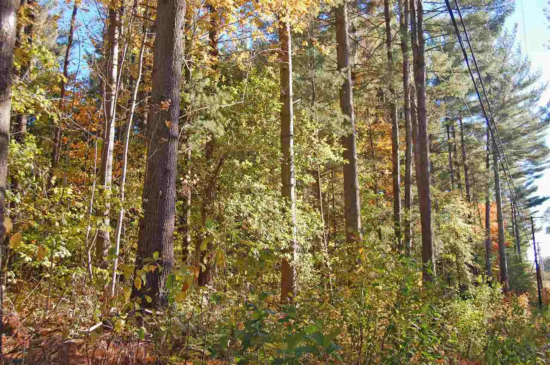 000 East Warren Road Warren VT 05674