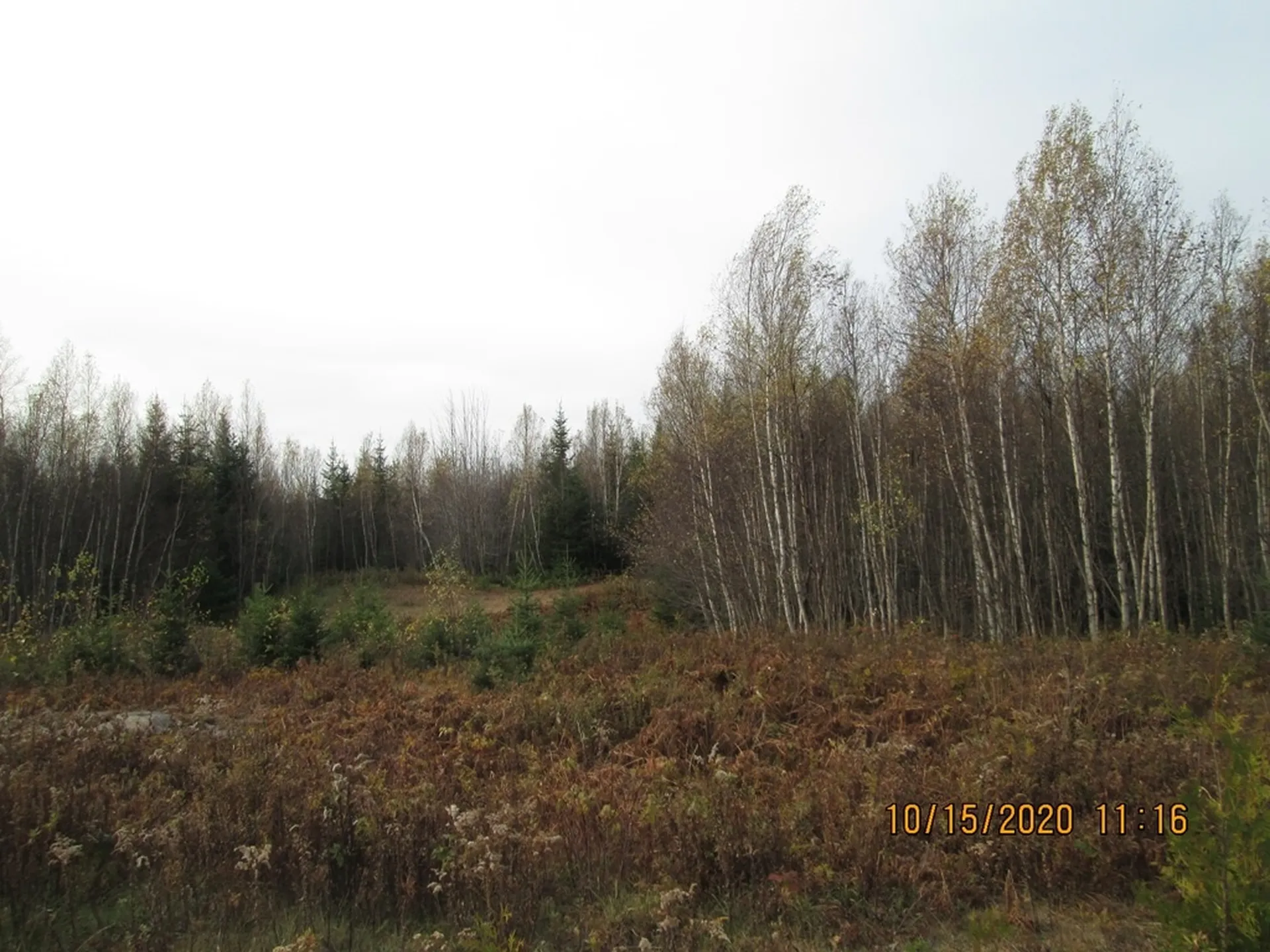 10193 Vt Route 114 Canaan VT 05903