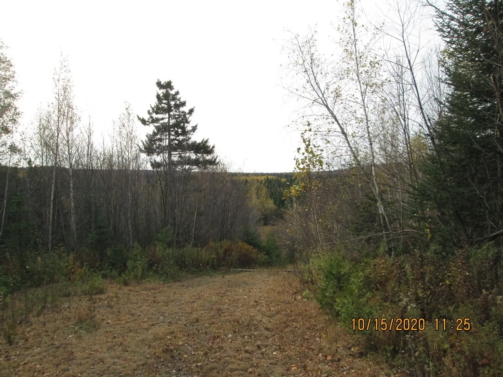 10193 Vt Route 114 Canaan VT 05903