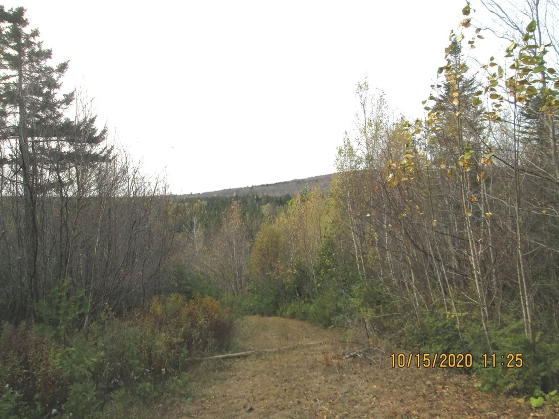 10193 Vt Route 114 Canaan VT 05903