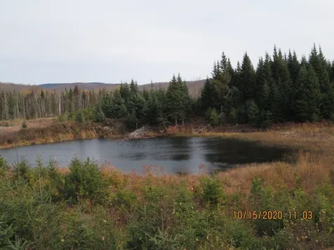 10193 Vt Route 114 Canaan VT 05903