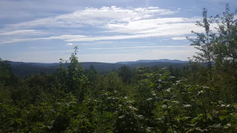 Meadow Road Newbury NH 03255