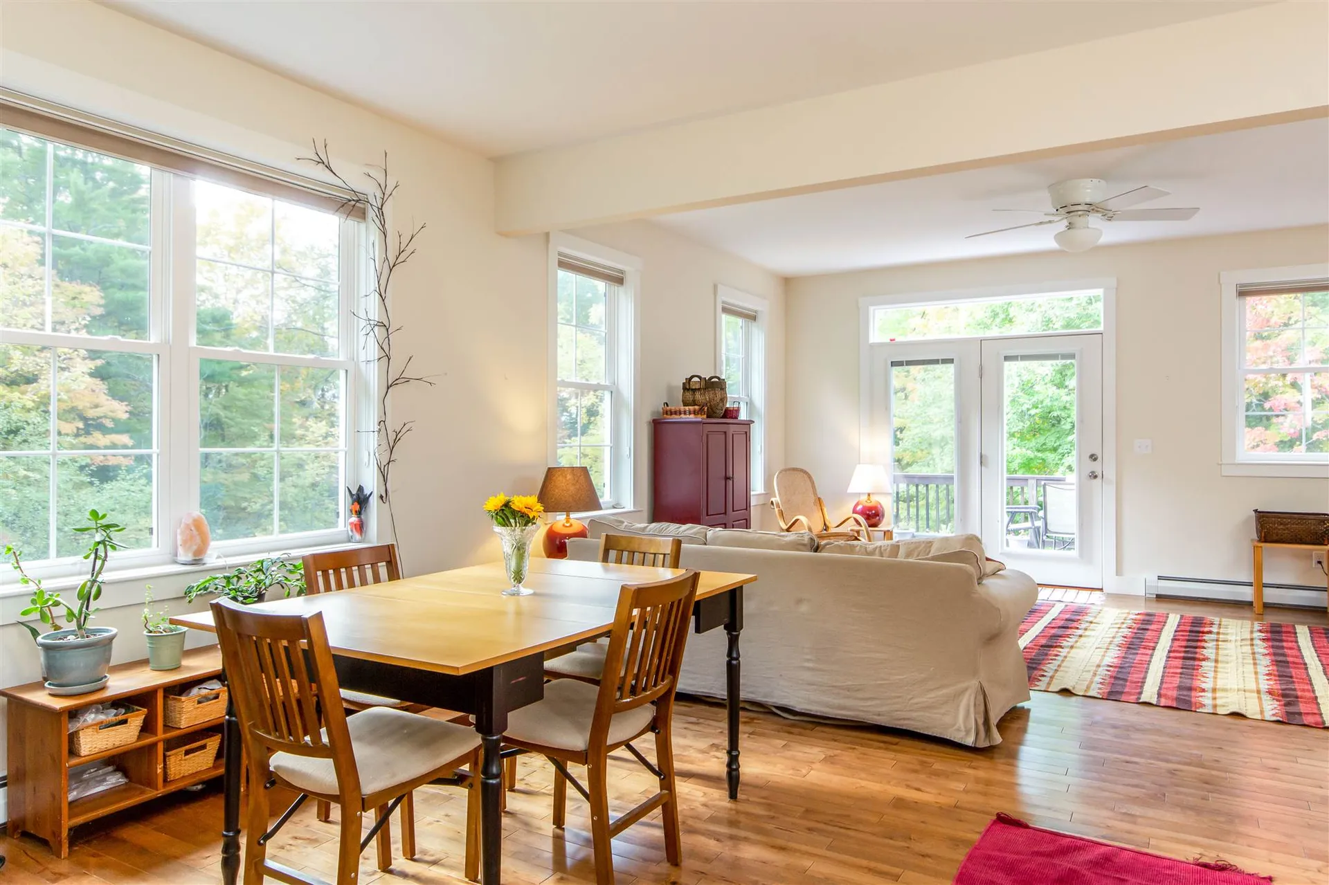 25 Logan Court Shelburne VT 05482