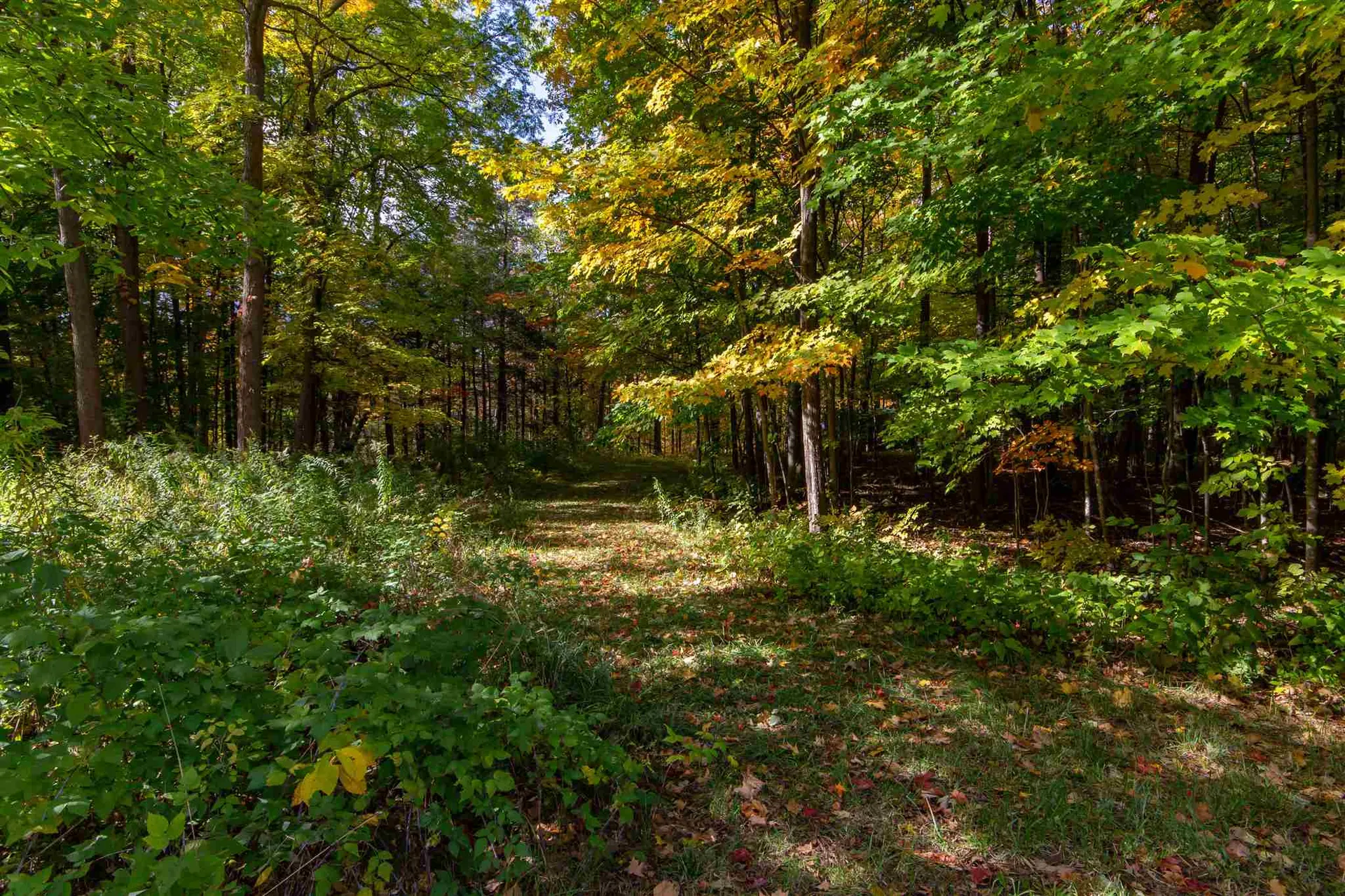 25 Logan Court Shelburne VT 05482