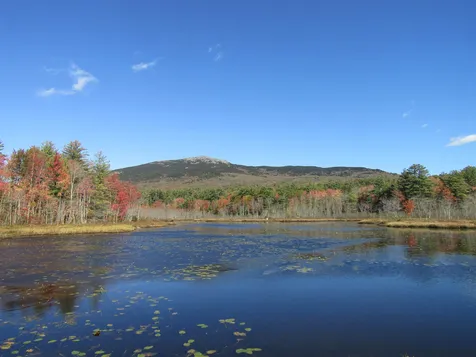 22 Shaker Farm Road S Marlborough NH 03455