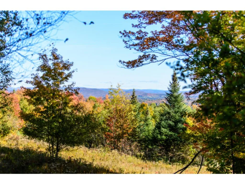 1531 Diggins Road Hyde Park VT 05655