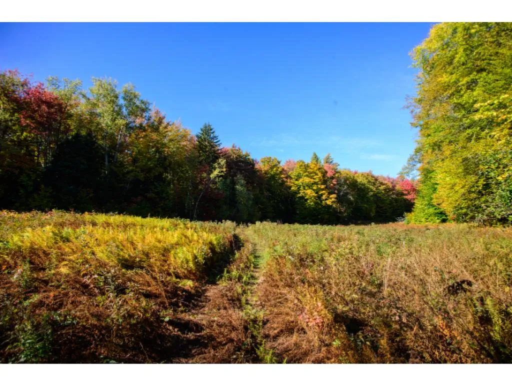 1531 Diggins Road Hyde Park VT 05655