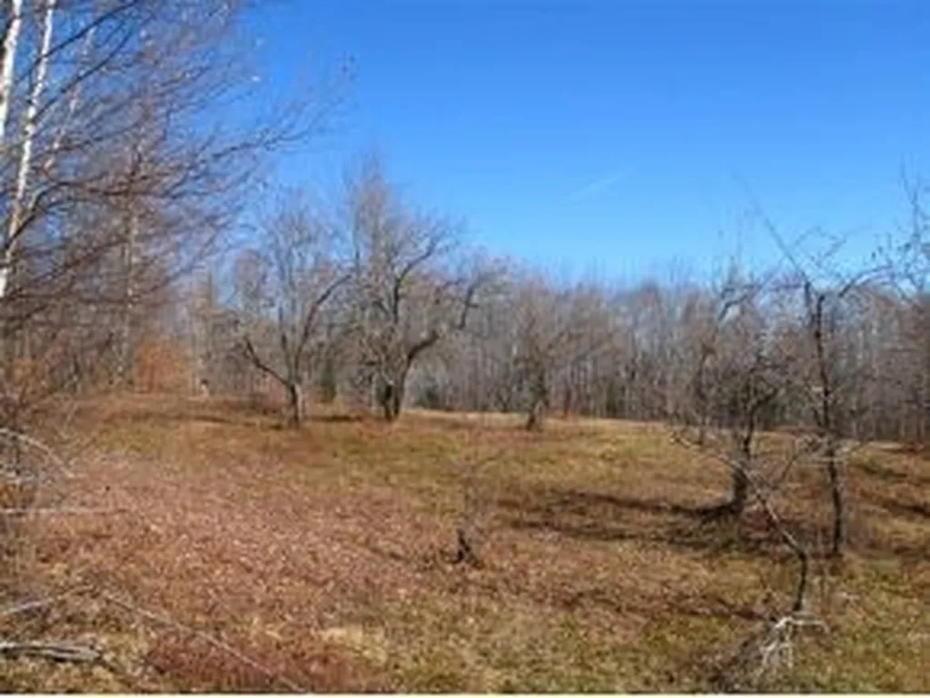 1531 Diggins Road Hyde Park VT 05655