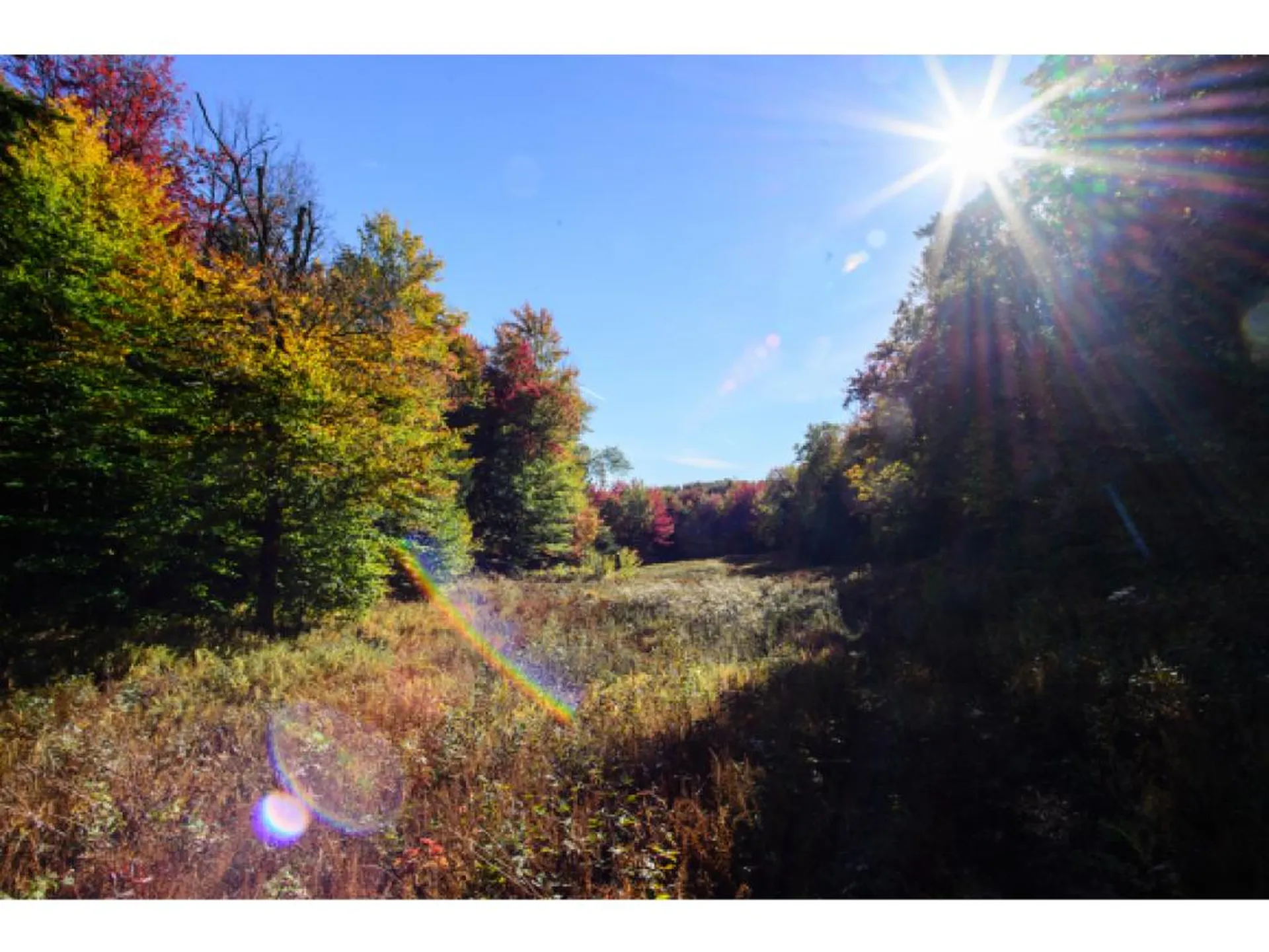 1531 Diggins Road Hyde Park VT 05655