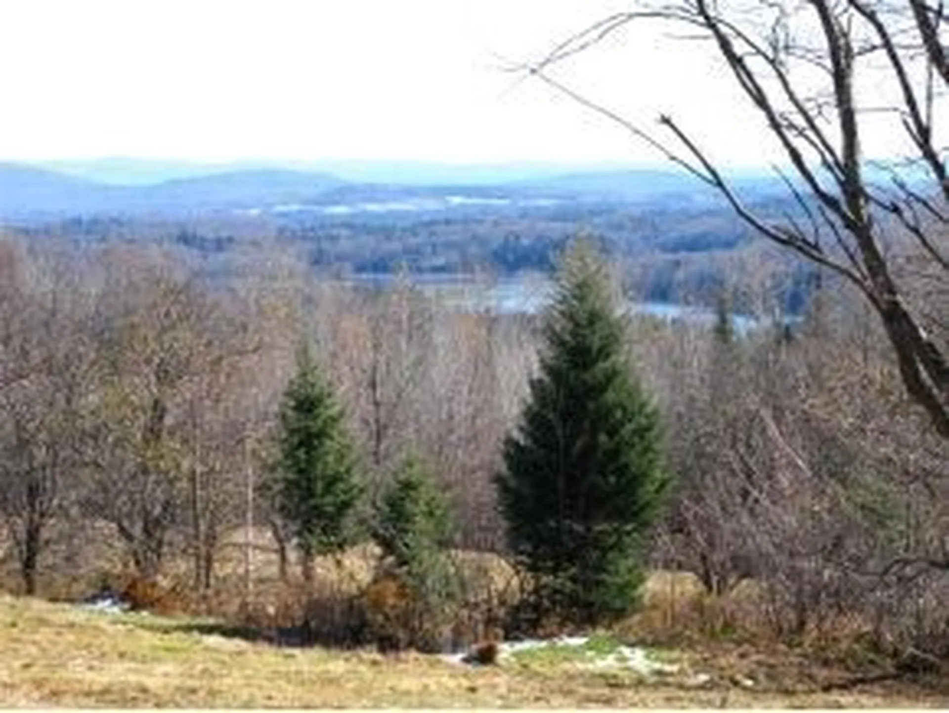 1531 Diggins Road Hyde Park VT 05655